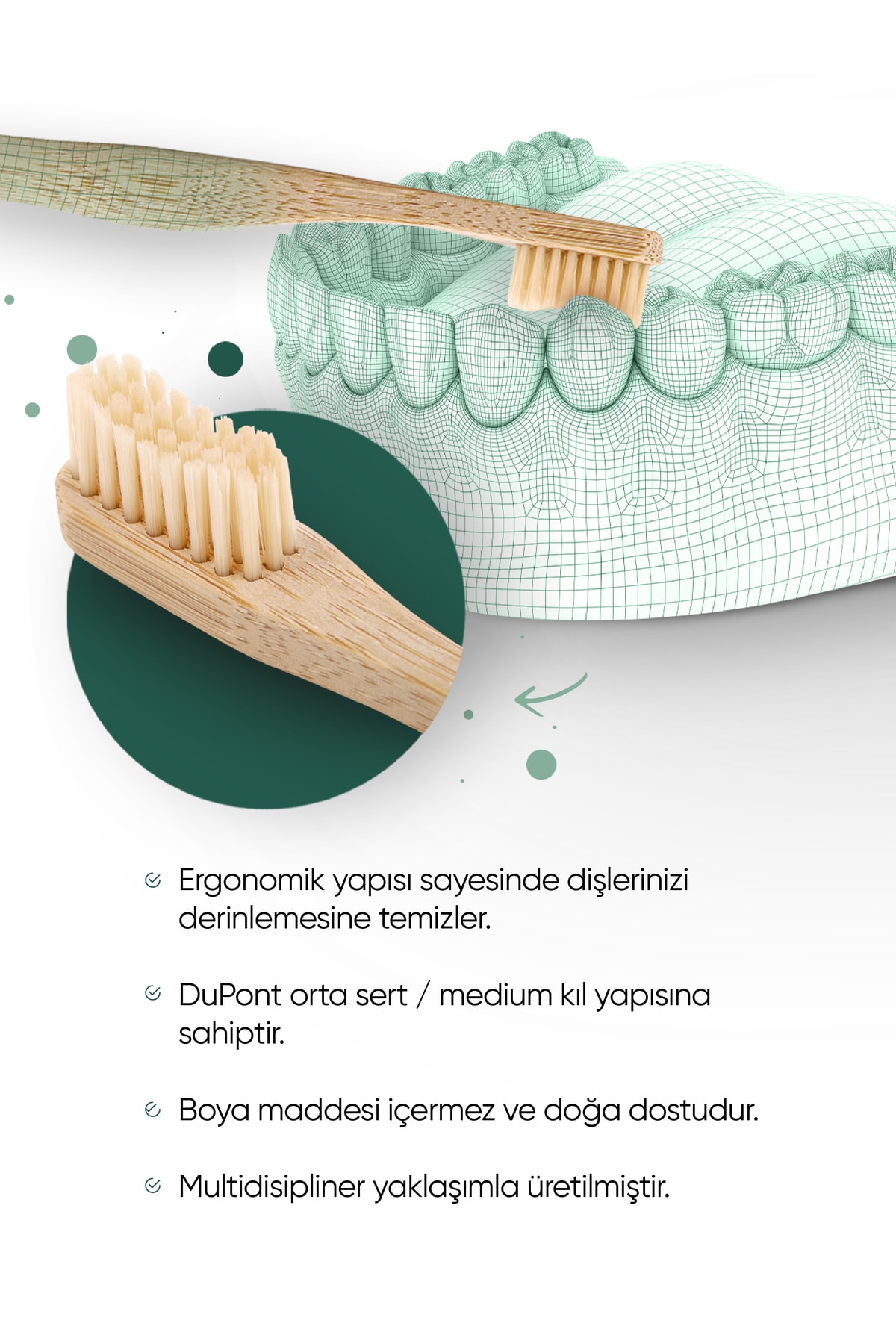 مسواک گیاهی بامبو TBRUSH مدل نرمال - تصویر 5